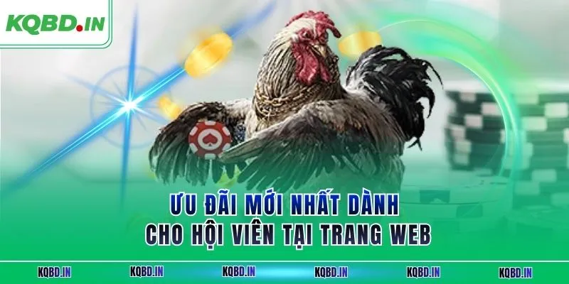 Ưu đãi mới nhất dành cho hội viên tại trang web